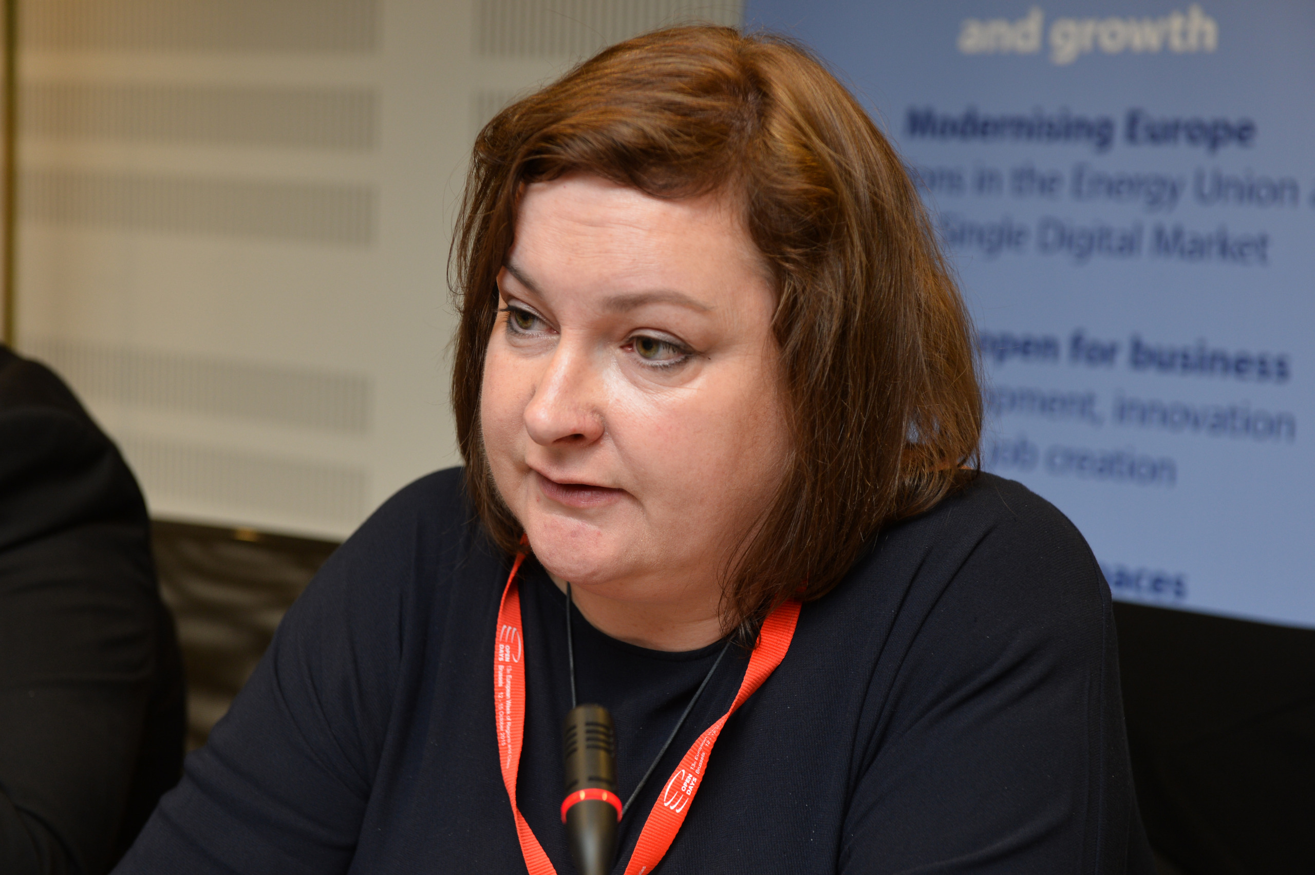 13a02_015_22385996740_o