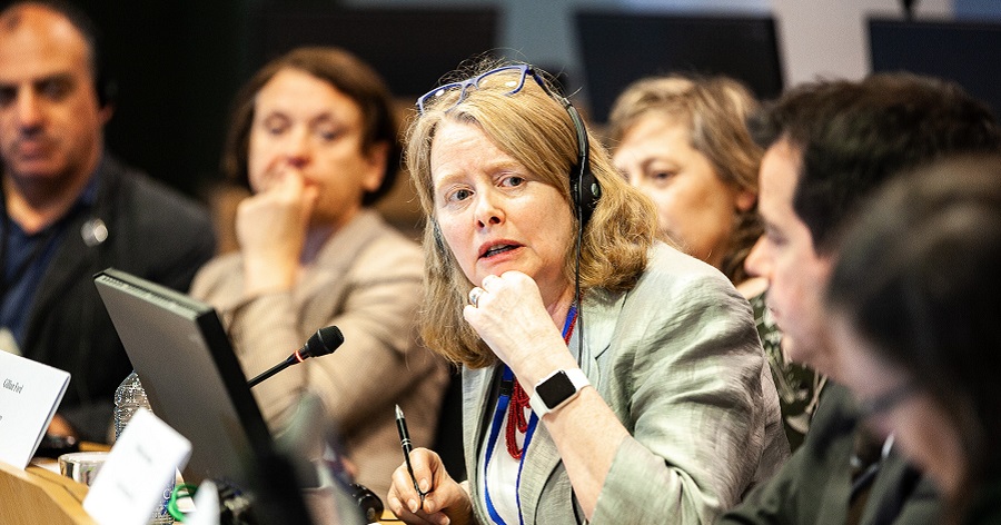 Workshop “Policies, women and climate change”